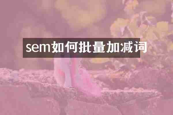 sem如何批量加减词