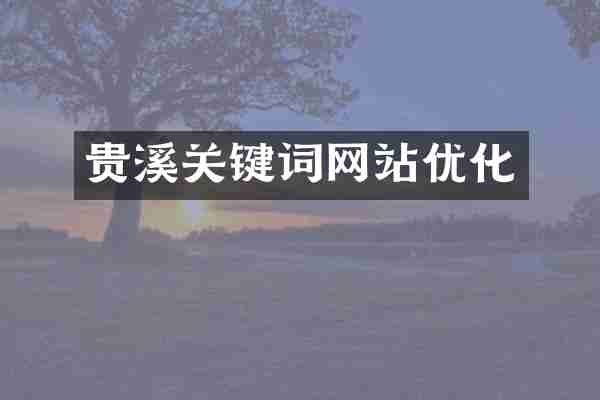 贵溪关键词网站优化
