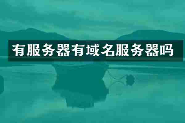 有服务器有域名服务器吗