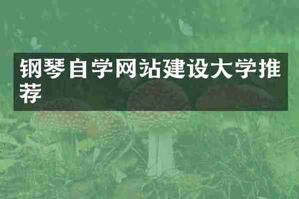 钢琴自学网站建设大学推荐