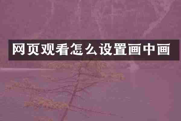 网页观看怎么设置画中画