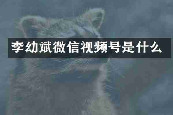 李幼斌微信视频号是什么