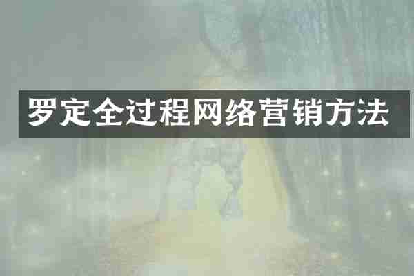 罗定全过程网络营销方法
