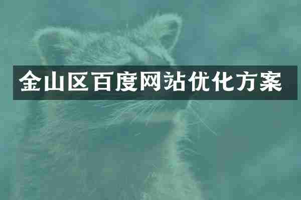 金山区百度网站优化方案