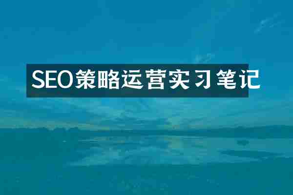SEO策略运营实习笔记