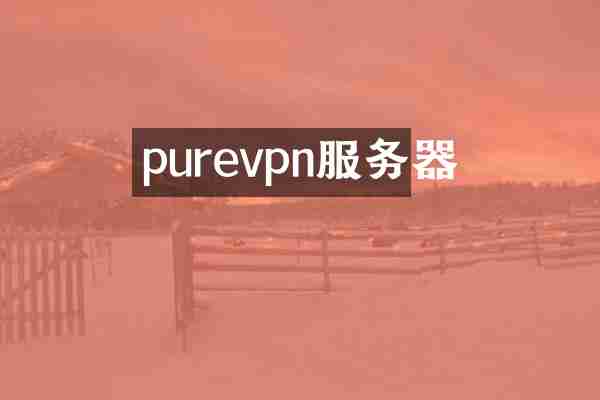 purevpn服务器