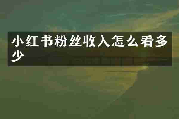 小红书粉丝收入怎么看多少