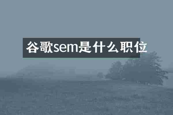 谷歌sem是什么职位