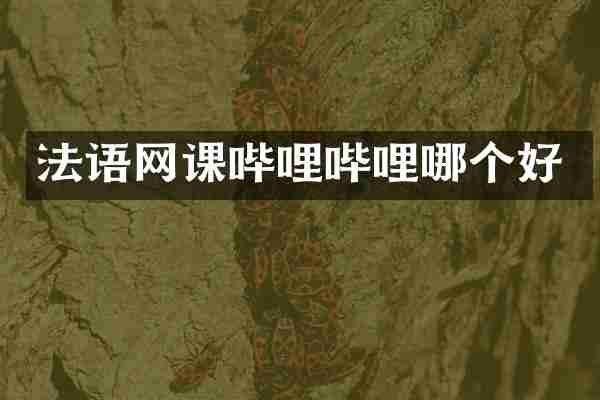 法语网课哔哩哔哩哪个好