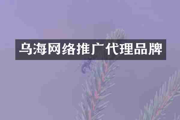 乌海网络推广代理品牌