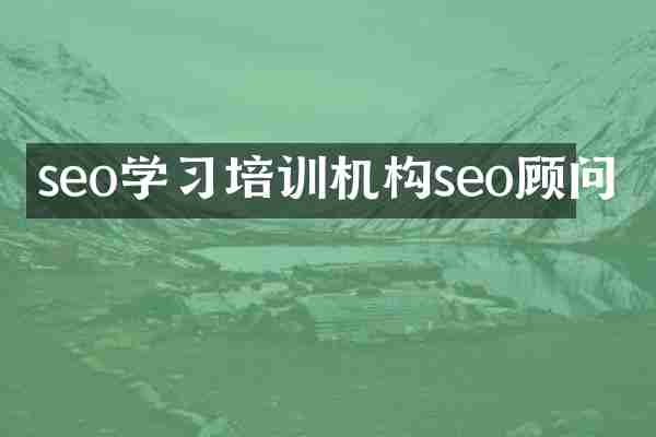 seo学习培训机构seo顾问