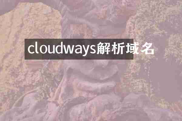 cloudways解析域名