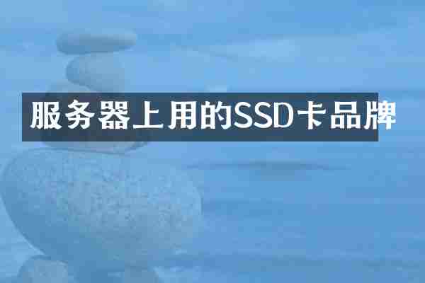 服务器上用的SSD卡品牌