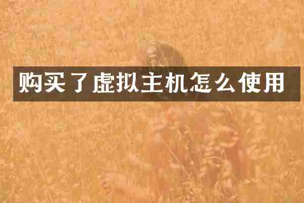 购买了虚拟主机怎么使用