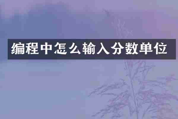 编程中怎么输入分数单位