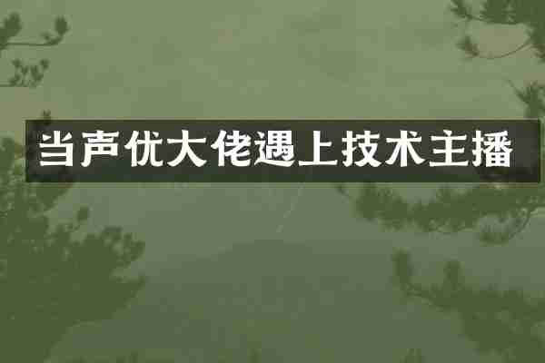 当声优大佬遇上技术主播