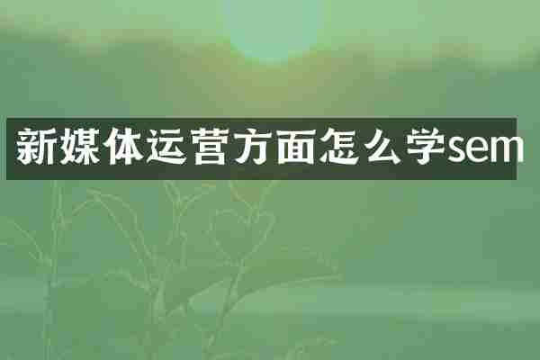 新媒体运营方面怎么学sem