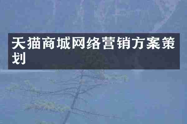 天猫商城网络营销方案策划