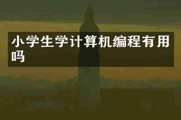 小学生学计算机编程有用吗
