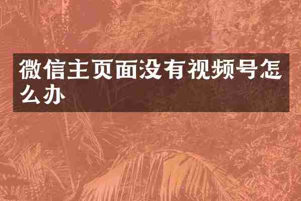 微信主页面没有视频号怎么办