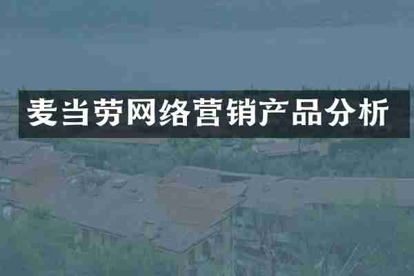 麦当劳网络营销产品分析