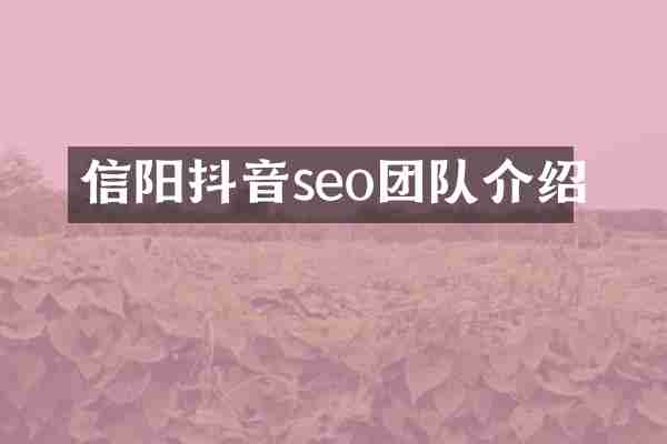 信阳抖音seo团队介绍