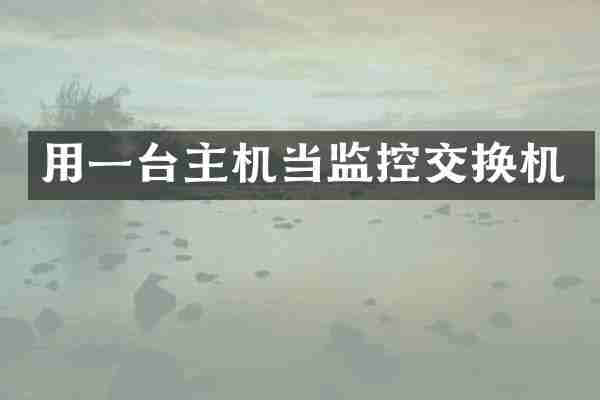 用一台主机当监控交换机