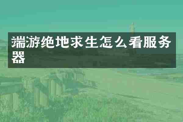 端游绝地求生怎么看服务器