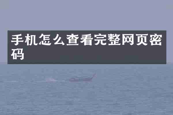 手机怎么查看完整网页密码