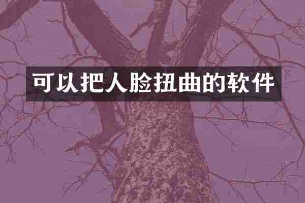 可以把人脸扭曲的软件