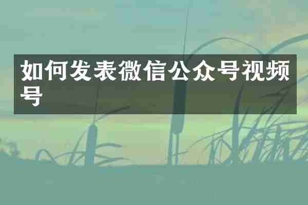 如何发表微信公众号视频号