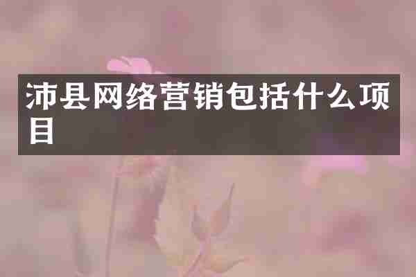 沛县网络营销包括什么项目