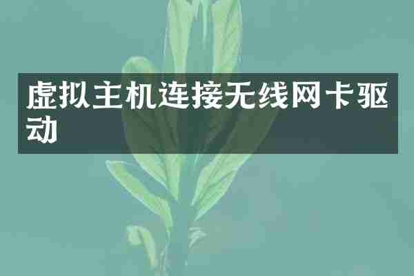 虚拟主机连接无线网卡驱动