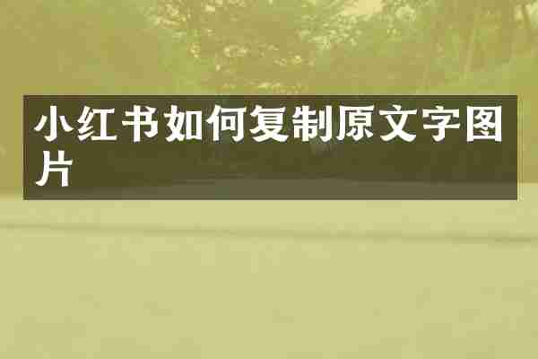 小红书如何复制原文字图片