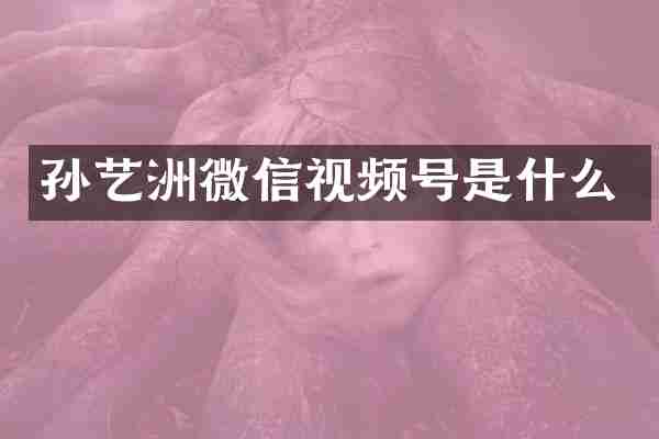 孙艺洲微信视频号是什么