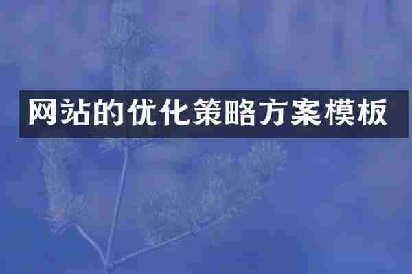 网站的优化策略方案模板