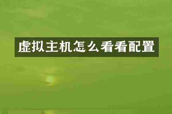 虚拟主机怎么看看配置