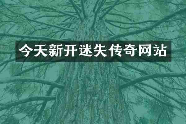 今天新开迷失传奇网站