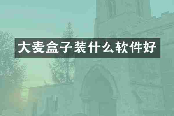 大麦盒子装什么软件好
