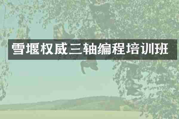 雪堰权威三轴编程培训班