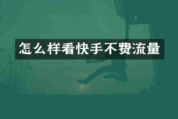 怎么样看快手不费流量
