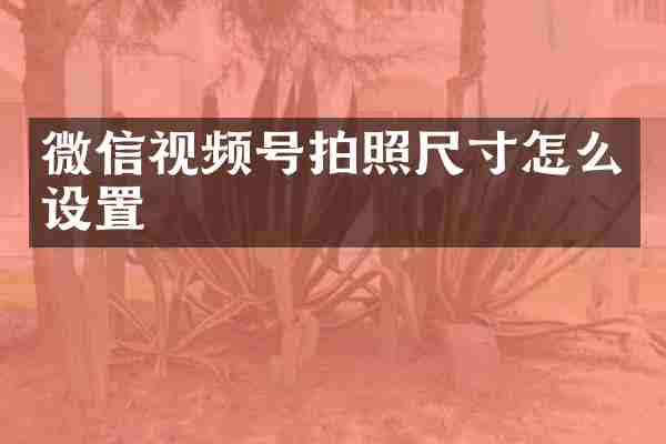 微信视频号拍照尺寸怎么设置