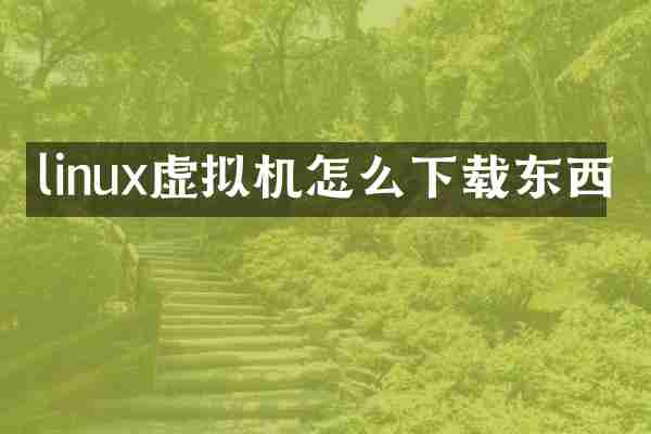 linux虚拟机怎么下载东西