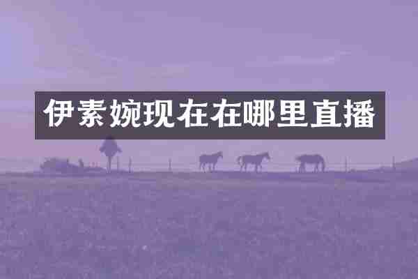 伊素婉现在在哪里直播