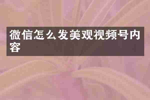 微信怎么发美观视频号内容