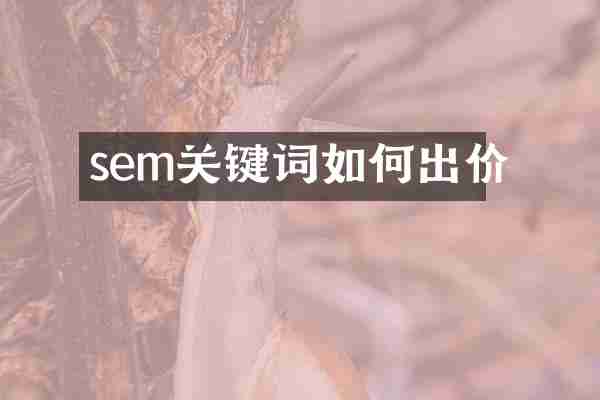 sem关键词如何出价