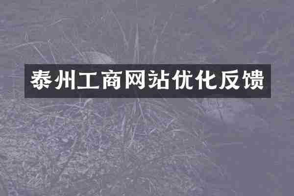 泰州工商网站优化反馈
