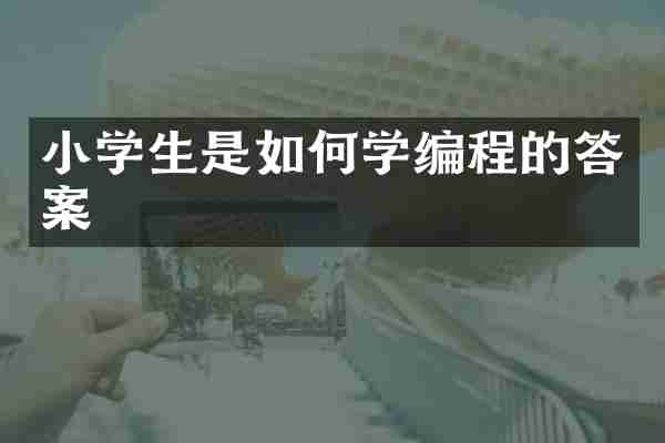 小学生是如何学编程的答案