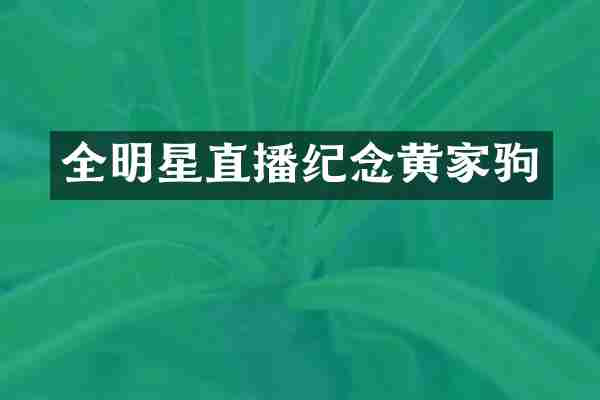 全明星直播纪念黄家驹