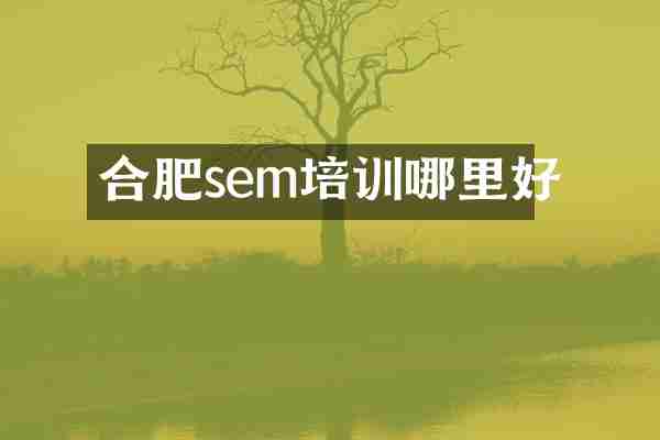 合肥sem培训哪里好